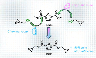 Chemical and enzymatic synthetic routes to the diglycidyl ester of 2,5-furandicarboxylic acid