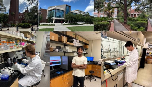 Strengthening Ties and Supporting International Collaboration with the University of Florida