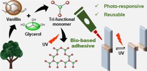 Photo-responsive lignin fragment-based polymers as switchable adhesives