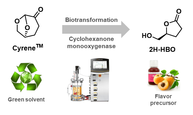 Biocatalytic method for producing 2H-HBO and β-substituted analogues from LGO using a cyclohexanone monooxygenase