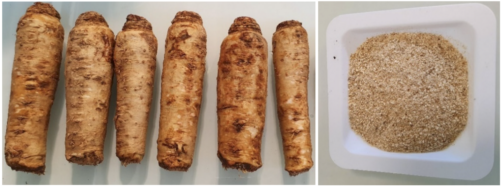 Optimization of the Accelerated Solvent Extraction of Caffeoylquinic Acids from Forced Chicory Roots and Antioxidant Activity of the Resulting Extracts