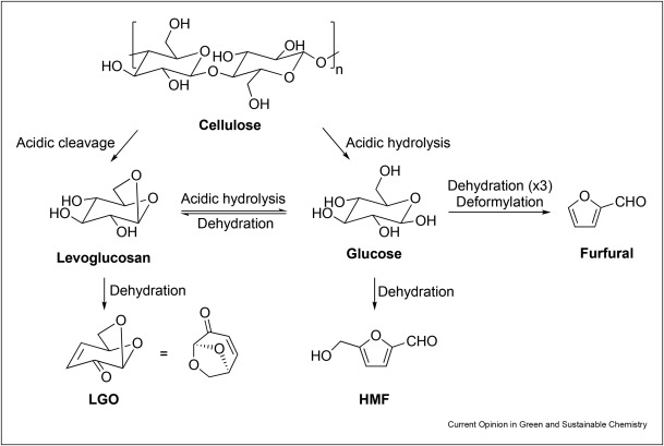 Total syntheses and production pathways of Levoglucosenone, a highly valuable chiral chemical platform for the chemical industry