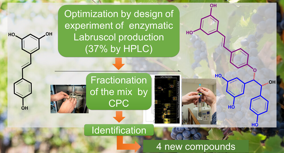 Combining Laccase-Mediated Dimerization of Resveratrol and Centrifugal Partition Chromatography