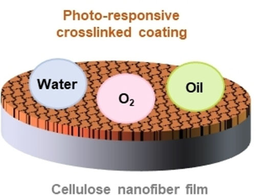 Reversible Photo-Responsive Hydrophobic Coating Synthesized from Lignin-Derivable Molecules on Nanocellulose Films for Packaging Applications