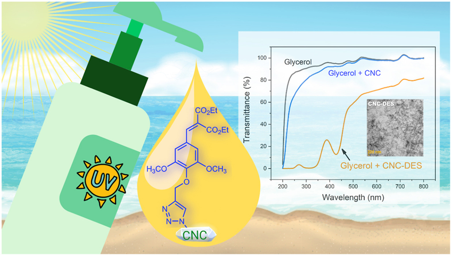 Diethyl sinapate-grafted cellulose nanocrystals as nature-inspired UV-filters in cosmetic formulations