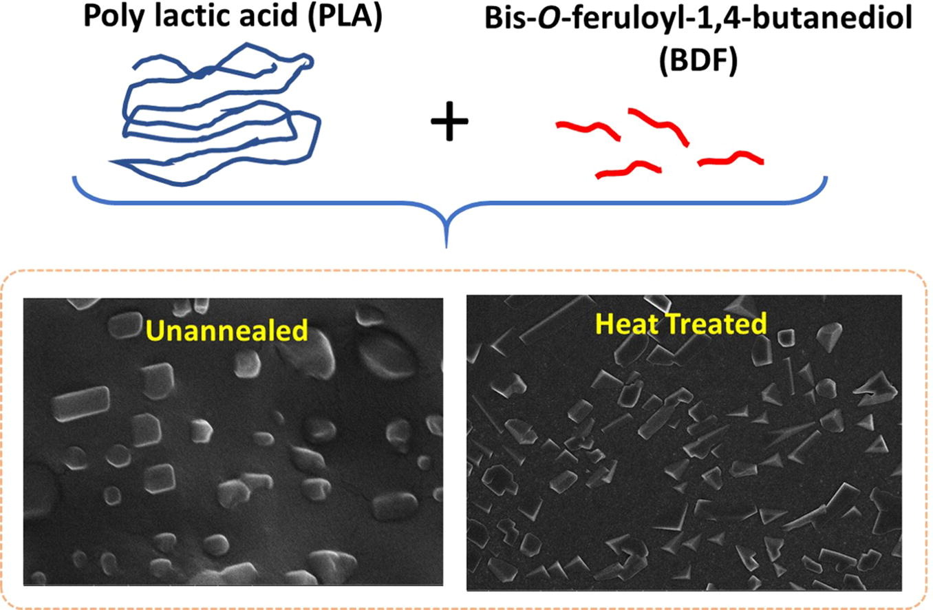 Nanocrystallisation and Self-Assembly of Biosourced Ferulic Acid Derivative in Polylactic Acid Elastomeric Blends