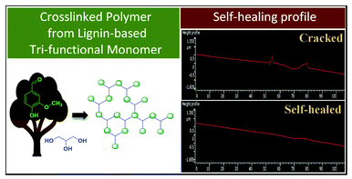 Bio-based photo-reversible self-healing polymer designed from lignin