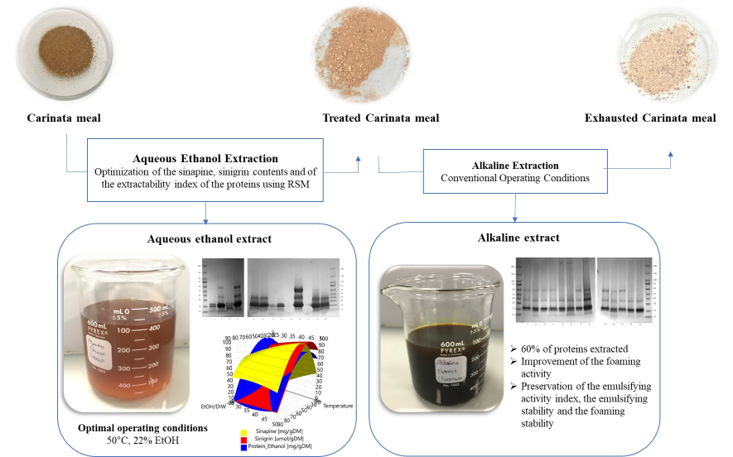 Optimization of the Recovery of Secondary Metabolites from Defatted <i>Brassica carinata</i> Meal and Its Effects on the Extractability and Functional Properties of Proteins