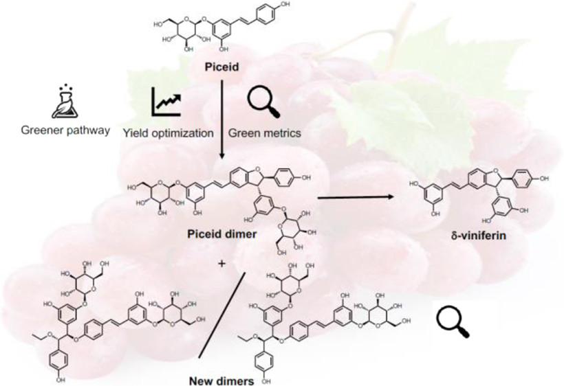 Optimization and Green Metrics Analysis of the AgOAc-Mediated Dimerization of Piceid: Toward a High-Yielding and More Sustainable Access to δ-Viniferin and Synthesis of New Piceid Dimers