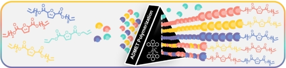 Furandicarboxylate Polyesters: A Comprehensive ADMET Study of a Novel Class of Furan-Based α,ω-Diene Monomers